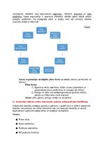 Konspekts 'Integrētais pārbaudījums “Vadītājs sporta jomā” 1. daļa', 7.