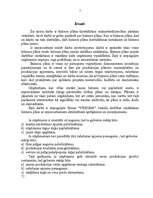 Biznesa plāns 'SIA "Verums"', 2.