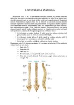 Referāts 'Rehabilitācijas iespējas pēc mugurkaula lejasdaļas diska trūces', 8.