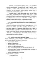 Prakses atskaite 'Grāmatvedības paņēmienu pielietojums', 5.