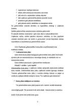 Prakses atskaite 'Grāmatvedības paņēmienu pielietojums', 6.