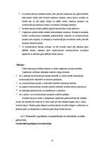 Prakses atskaite 'Grāmatvedības paņēmienu pielietojums', 19.