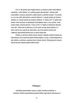 Prakses atskaite 'Grāmatvedības paņēmienu pielietojums', 23.