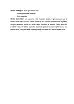 Prakses atskaite 'Prakses mape - Daugavpils 5.pamatskola', 5.