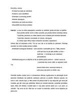 Prakses atskaite 'Prakses mape - Daugavpils 5.pamatskola', 12.