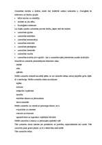 Prakses atskaite 'Prakses mape - Daugavpils 5.pamatskola', 20.