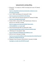 Referāts 'RAID disku masīvi', 13.