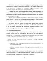 Diplomdarbs 'Personāla motivācijas analīze uzņēmumā a/s "Baltic Tours"', 20.
