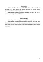 Konspekts 'Latvijas ekonomiski ģeogrāfiskais raksturojums', 13.