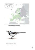 Konspekts 'Latvijas ekonomiski ģeogrāfiskais raksturojums', 32.