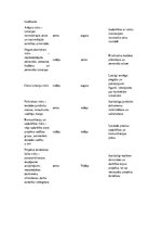 Konspekts 'Risku analīze un kontrole projektos', 3.