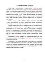 Biznesa plāns 'Biznesa plāns peintbolam', 7.