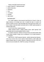 Biznesa plāns 'Biznesa plāns peintbolam', 9.