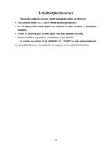 Biznesa plāns 'Biznesa plāns peintbolam', 10.