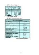 Biznesa plāns 'Biznesa plāns peintbolam', 13.