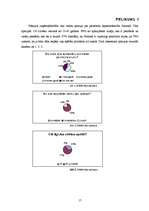 Biznesa plāns 'Biznesa plāns peintbolam', 17.