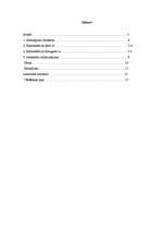 Referāts 'Saīsinājumu lietošana jauniešu komentāros internetā', 2.