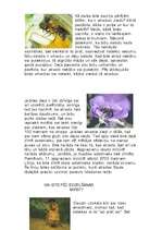 Referāts 'Bites', 3.