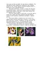 Referāts 'Bites', 4.