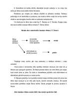 Referāts 'Rotaļu nozīme pirmsskolas vecuma bērnu attīstībā', 16.