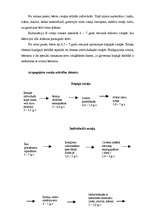 Referāts 'Rotaļu nozīme pirmsskolas vecuma bērnu attīstībā', 18.