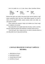 Referāts 'Rotaļu nozīme pirmsskolas vecuma bērnu attīstībā', 19.