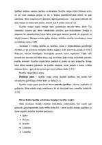 Referāts 'Rotaļu nozīme pirmsskolas vecuma bērnu attīstībā', 27.