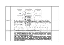 Prakses atskaite 'Grāmatvedības prakses atskaite', 13.