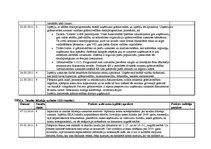 Prakses atskaite 'Grāmatvedības prakses atskaite', 23.