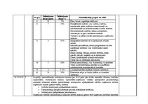 Prakses atskaite 'Grāmatvedības prakses atskaite', 32.