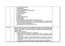 Prakses atskaite 'Grāmatvedības prakses atskaite', 41.