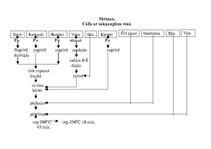 Konspekts 'Putnu gaļas ēdieni', 11.