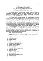 Referāts 'Uzņēmuma mārketinga vides un stratēģijas analīze un darbības plānošana', 5.