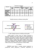 Referāts 'Uzņēmuma mārketinga vides un stratēģijas analīze un darbības plānošana', 12.