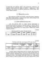 Referāts 'Uzņēmuma mārketinga vides un stratēģijas analīze un darbības plānošana', 13.