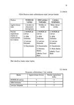 Referāts 'Uzņēmuma mārketinga vides un stratēģijas analīze un darbības plānošana', 29.