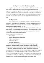 Referāts 'Uzņēmuma SIA "Tehniskais centrs" attīstības analīze', 9.