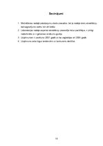 Referāts 'Uzņēmuma SIA "Tehniskais centrs" attīstības analīze', 16.