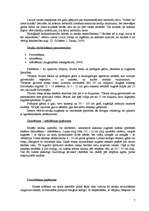 Referāts 'Augseku sistēmas projektēšana modeļsaimniecībai "Rogas"', 7.