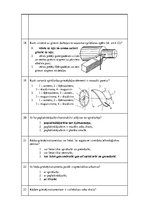 Paraugs 'Aviotehnika - kontroldarbu konspekts', 19.