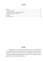 Referāts 'Apsardzes signalizācija un tās veidi', 2.