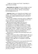 Referāts 'Kas ir stress, un kā tas ietekmē mūsu veselību', 13.