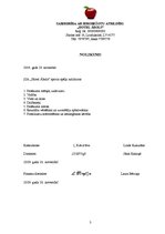 Paraugs 'Lietvedības dokumenti', 3.