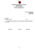 Paraugs 'Lietvedības dokumenti', 9.