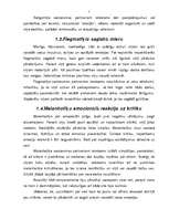 Referāts 'Kritika', 5.