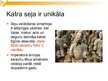 Prezentācija 'Terakotas armija', 6.