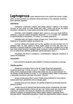 Konspekts 'Leptospiroze', 2.