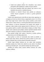 Referāts 'Naudas līdzekļu uzskaite', 15.