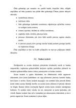 Referāts 'Naudas līdzekļu uzskaite', 32.