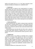 Diplomdarbs 'Inovācijas', 58.